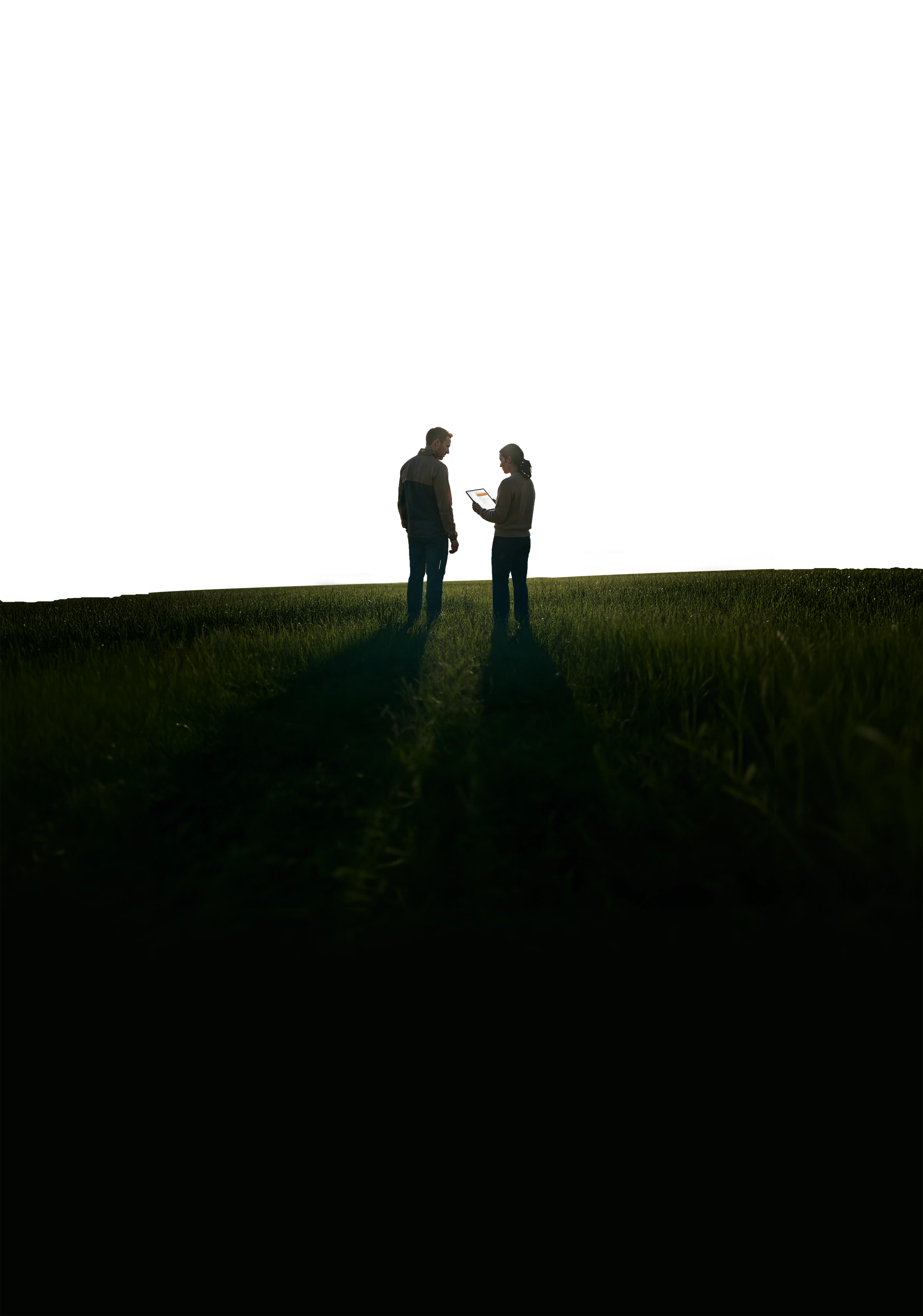 Two clinicians reviewing a patient record on a tablet at the edge of a field at sunrise